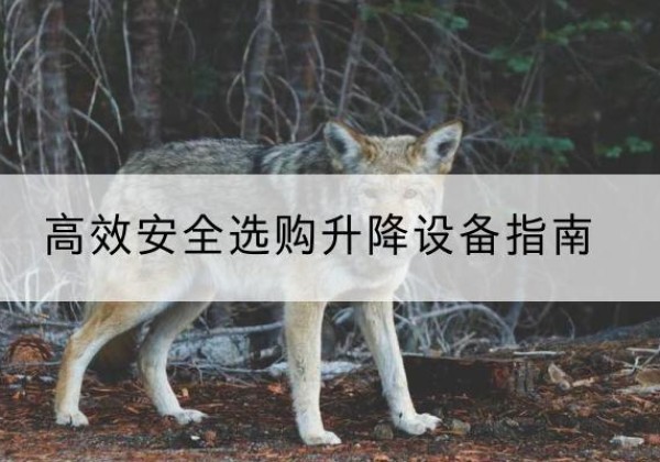 瓮安升降货梯厂家推荐-*安全选购升降设备指南