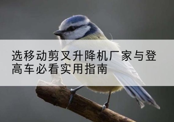 瓮安电动升降机厂家-选移动剪叉升降机厂家与登高车必看实用指南
